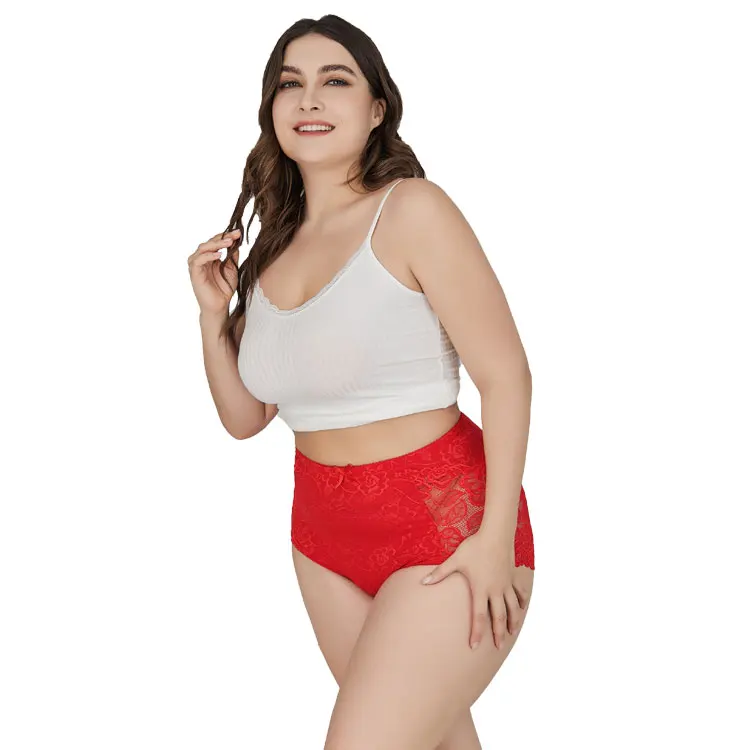 

BEIZHI Plus Size Big Butts Women Floral Pretty Lace Underwear For Fat Ladies