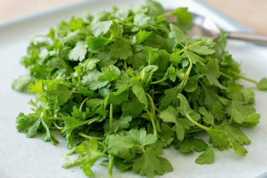 Cilantro and Coriander: Same Plant, Different Parts Explained
