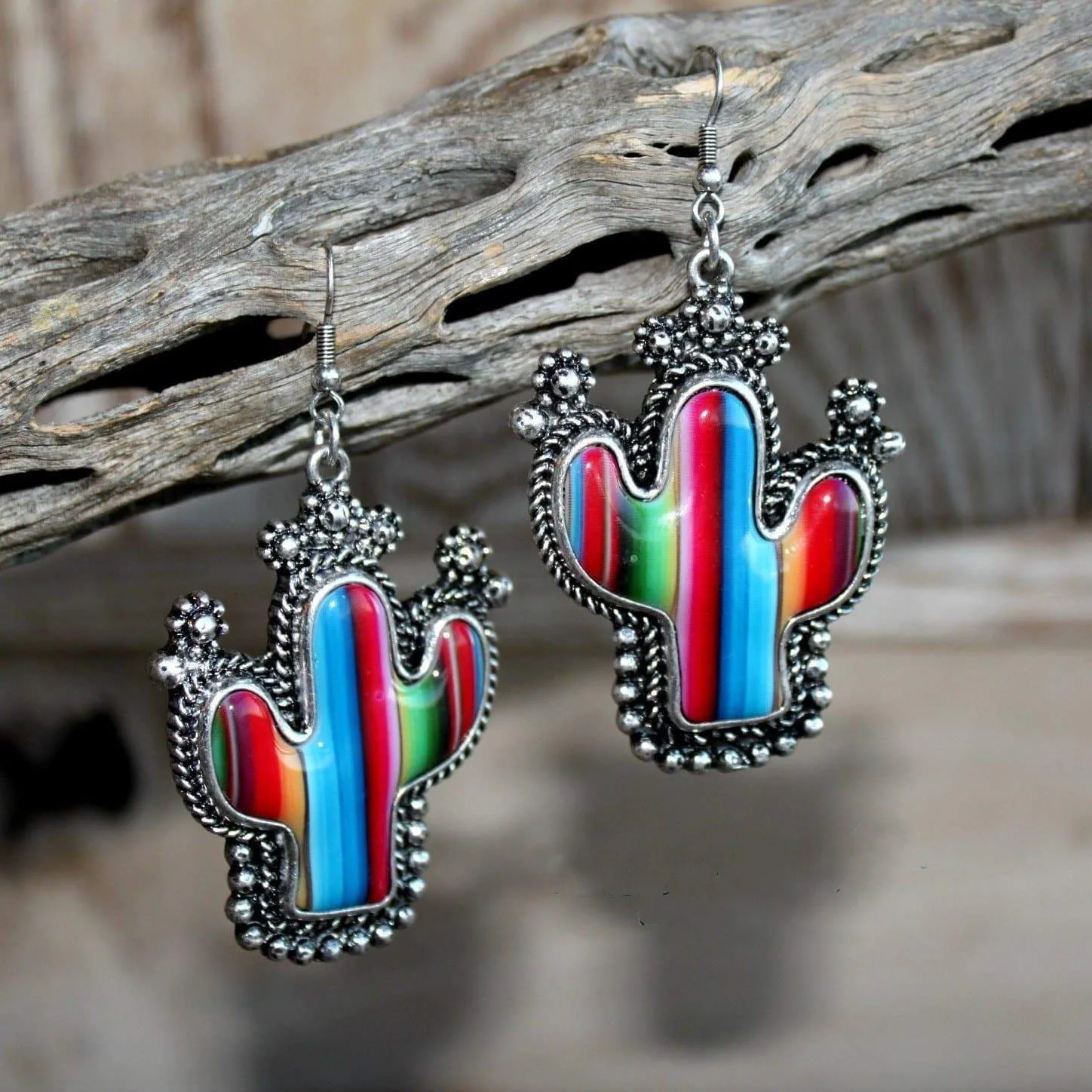 

Gorgeous Navajo Vintage Cactus Striped Western Earrings Rainbow Striped Cactus Lace Earring For Women