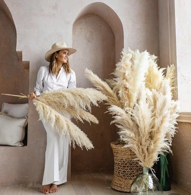 

QSLH-Q-115 dried pampas grass color available natural pampas grass competitive price