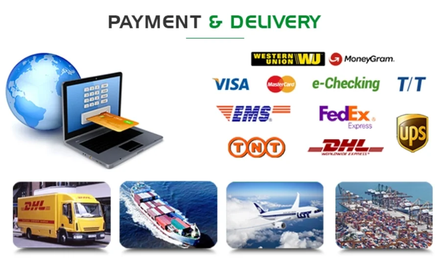 Customised T Shirt Manufacturer Usa Unisex Tshirt Custom T Shirt For