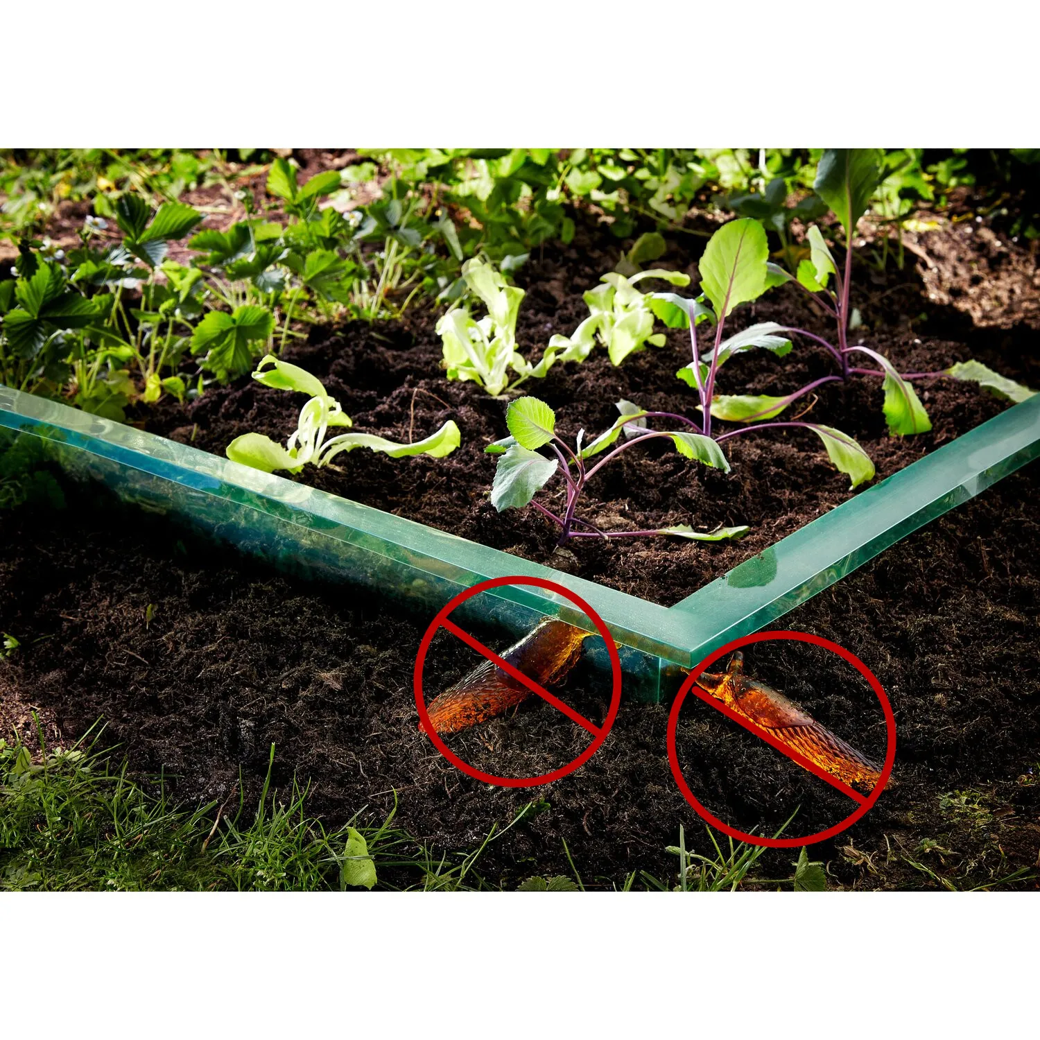 

Double Fold Snail Protection Fence Garden Slug and Snail Plastic Barrier
