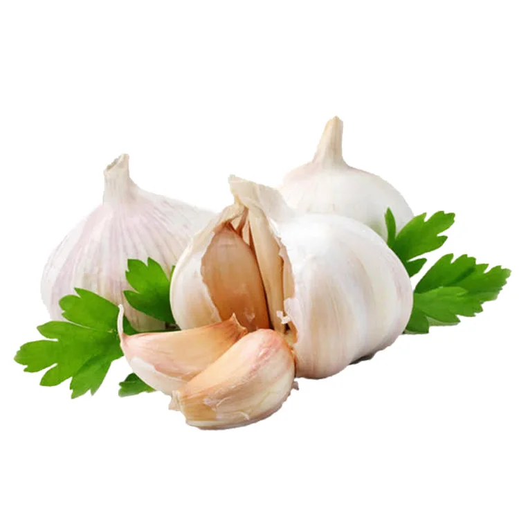 
Hot Sale Fresh White / Red Garlic Low Price Garlic For Sale 