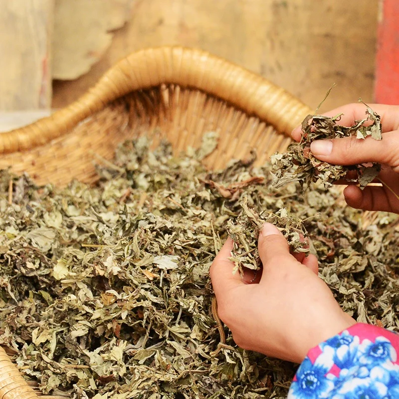 
500g/bag wild wormwood leaves mugwort leaves moxa foot soak bath 