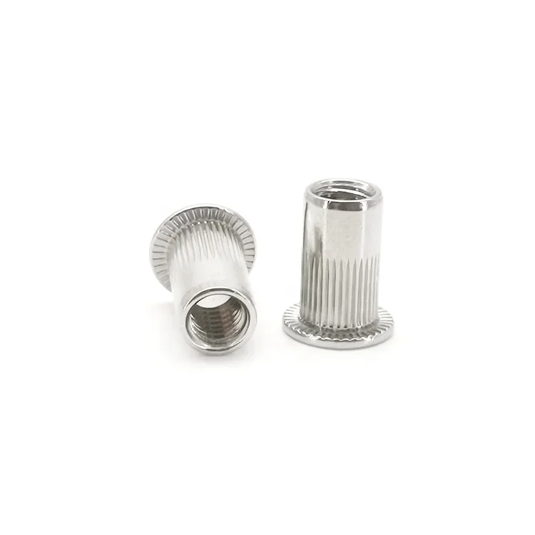 

Flat Thin Head Solid Rive Solid Stainless Steel Metal Rivet With Knurling Hollow Rivet Manufacture Service