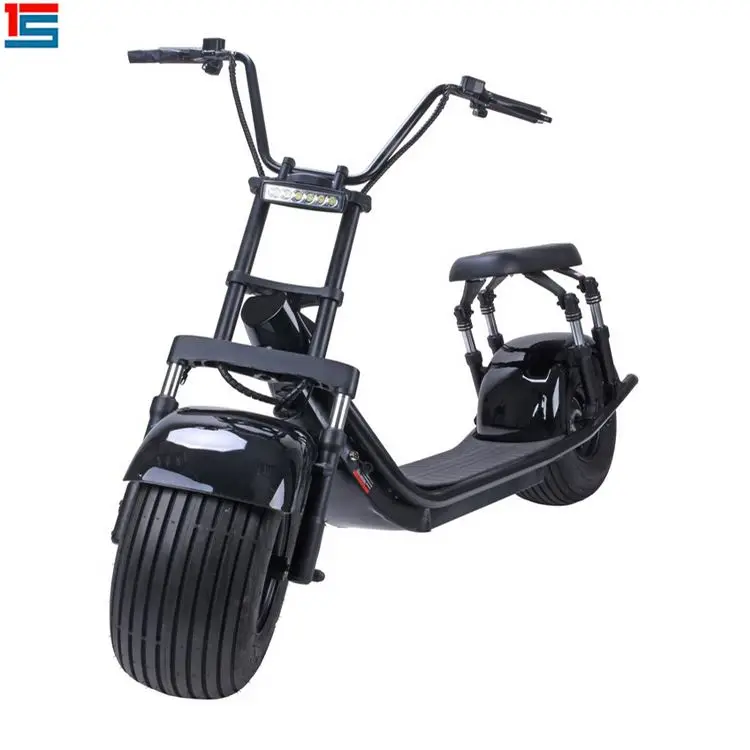 

Two Wheel 1000W Electric Chopper Bike