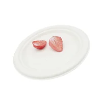 

9 inch compostable sugarcane bagasse plate