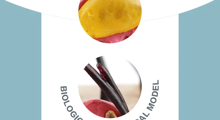 4  Dog Skin Model.jpg