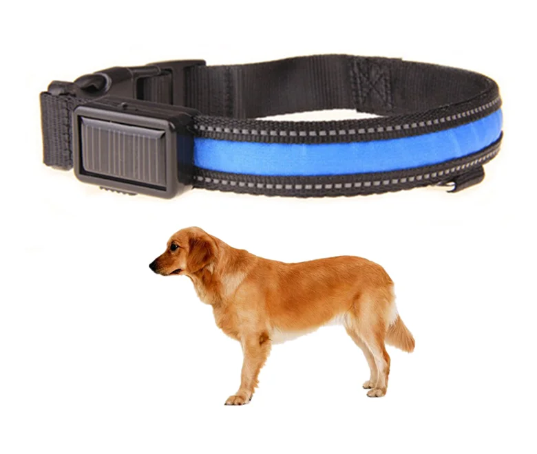 
Best Selling solar LED Light Dog Collar Safety USB Solar Charge Dog Collar for Pet 