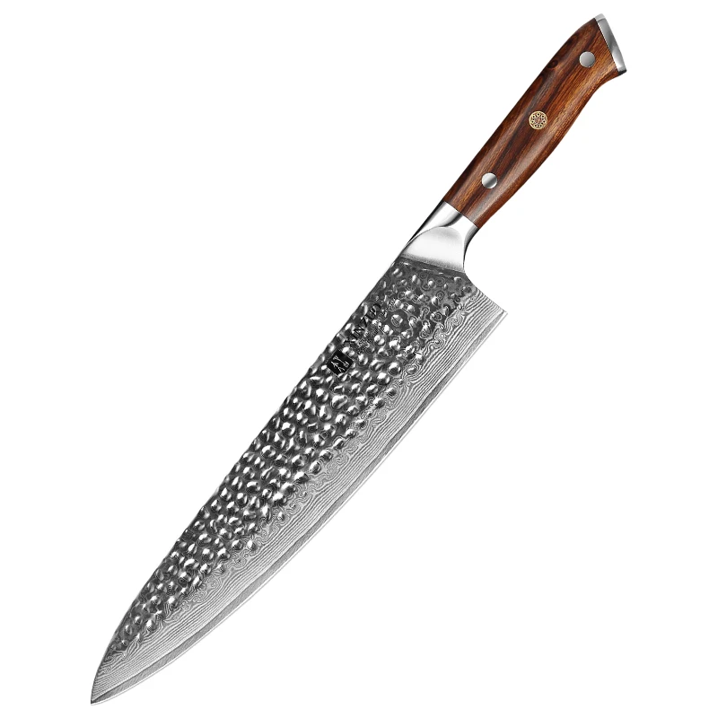 

Professional 10inch Damascus Steel kitchen chef knife with desert iron wood handle