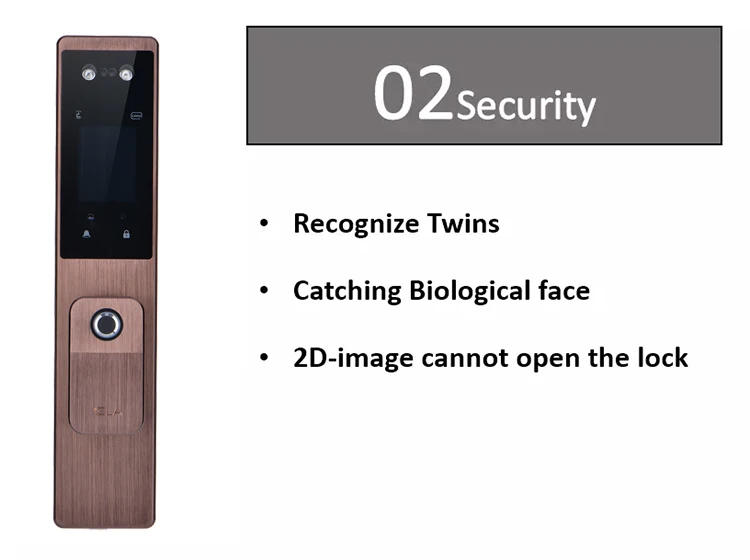 Face Recognition Password Lock Palmprint Recognition Door Lock Household Anti-theft Electronic Lock