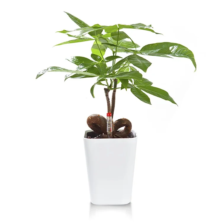 

BRICE Durable desk wholesale black plastic selfwatering plant pot flower pots