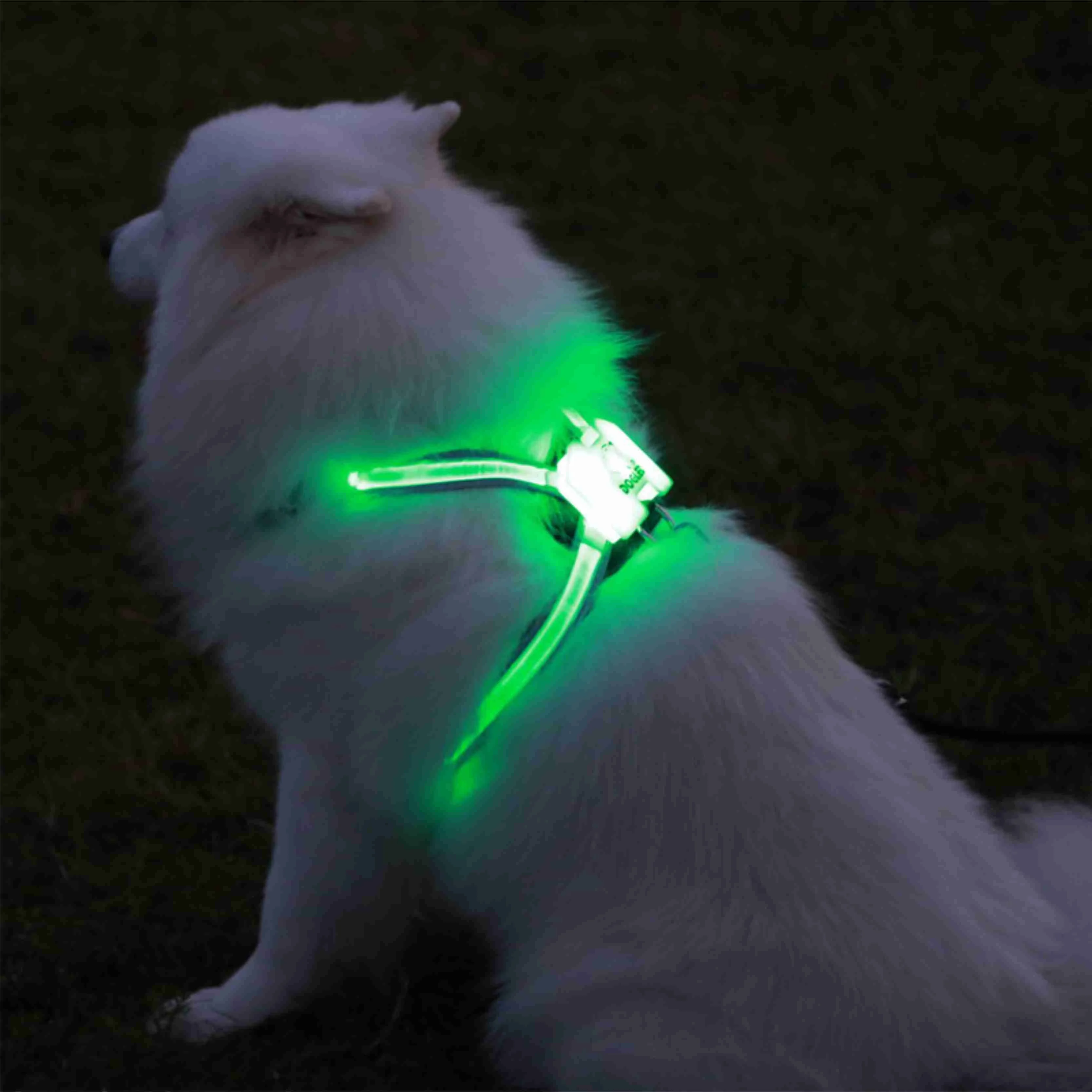 

cc simon dog harness vest led dog collar flashing dog harness led light up collar USB rechargeable, Multicolor