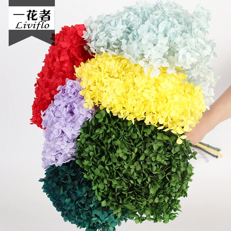 

Factory Directly Sale Preserved Flower Valentines Day Decorative Flowers Anna Hydrangea