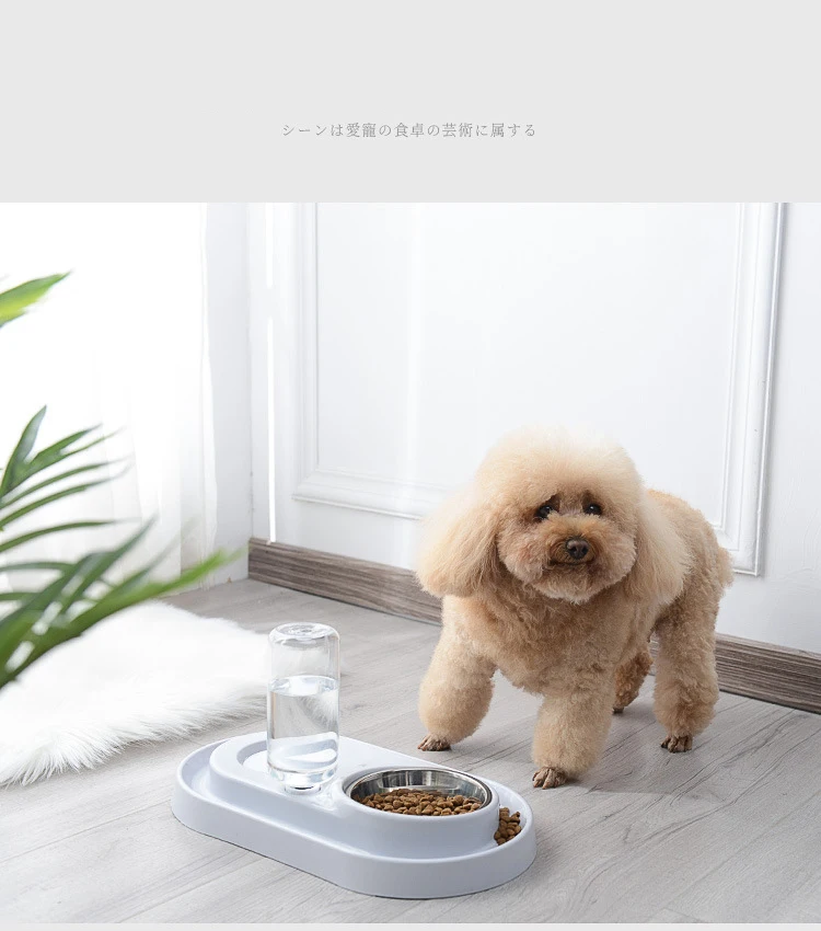 Wholesale different color stainless dog cat pet bowl pet bowls feeders pet bowl