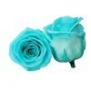 A Grade Best Quality Real Natural Eternal Preserved Roses Size 4-5 cm