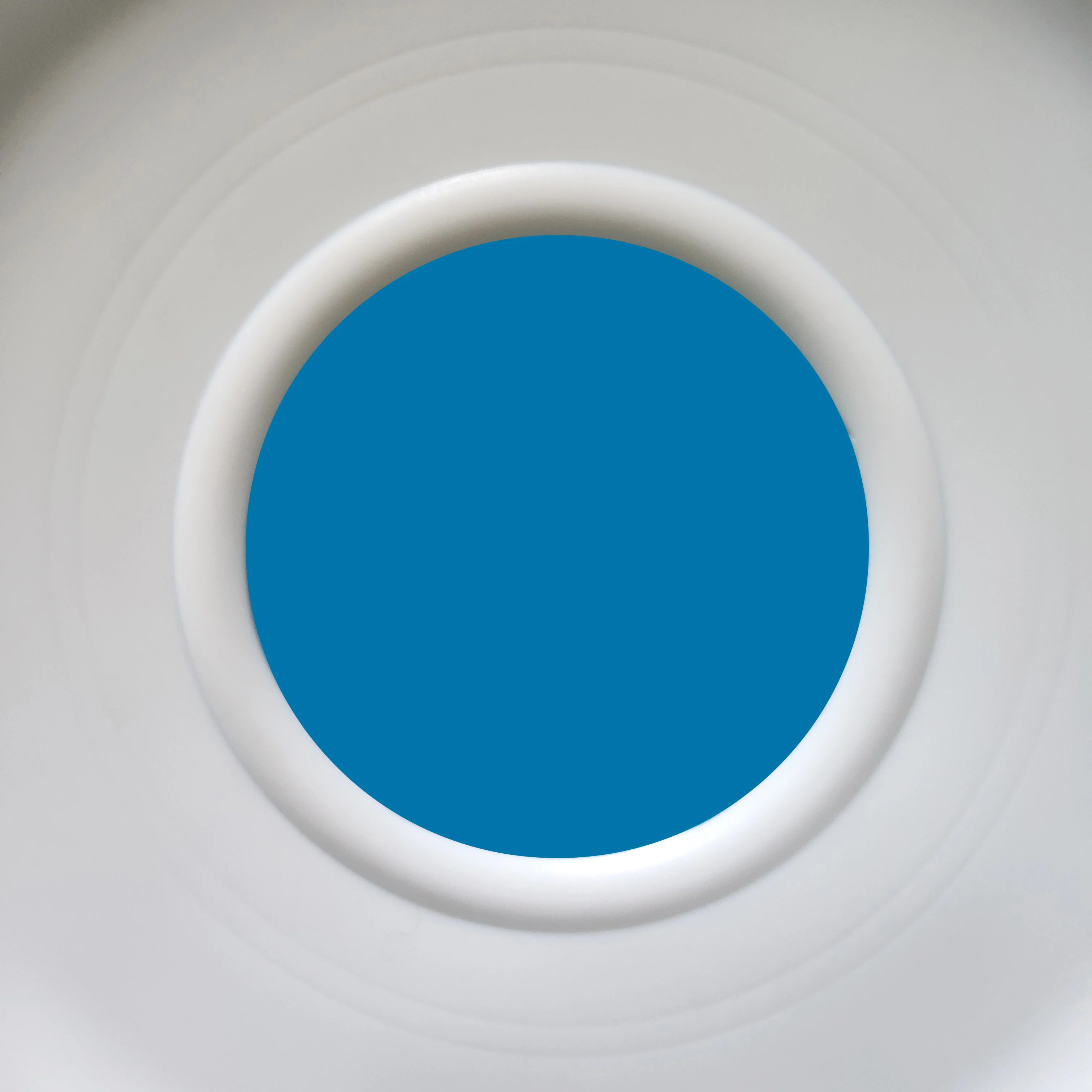 CF190833 PTFE diaphragm details