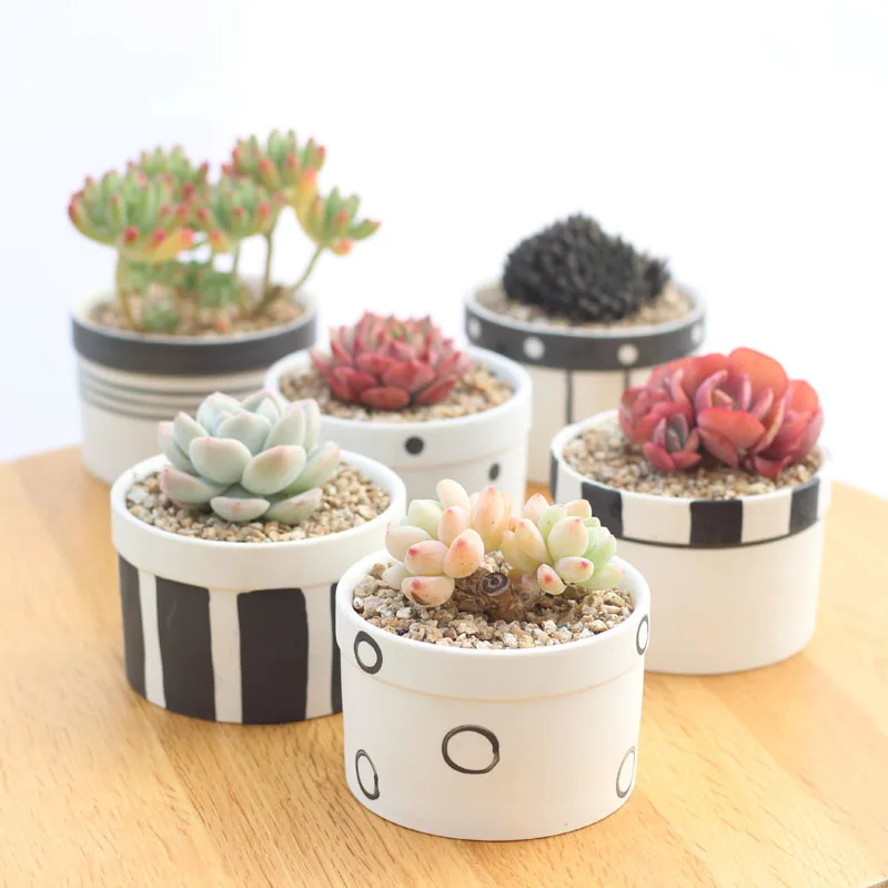 

Set of Black Transmutation Glazed Ceramic Flowerpots Succulent Plant Pots Home Decorative Cactus Planters 6 Colors