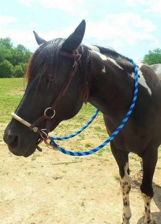 低起订量自定义尺寸皮革耐用尼龙绳马缰绳