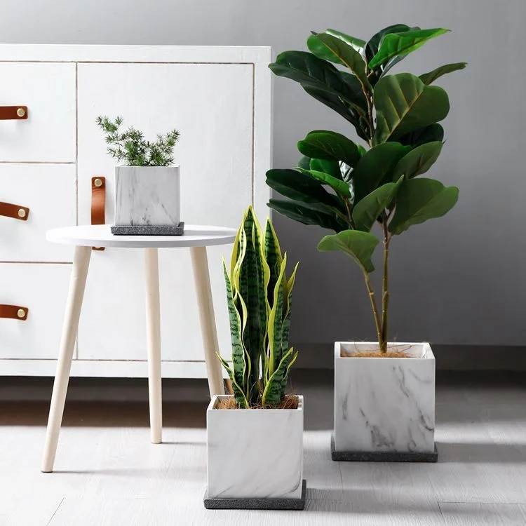 

Nordic cement flower pot foreign trade ceramic square pot simple and artistic personality cactus pot green potted plant