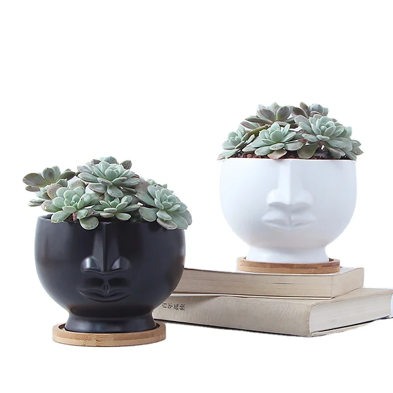 

New products high quality Plants Flower pots cute Succulent pots, Black/white