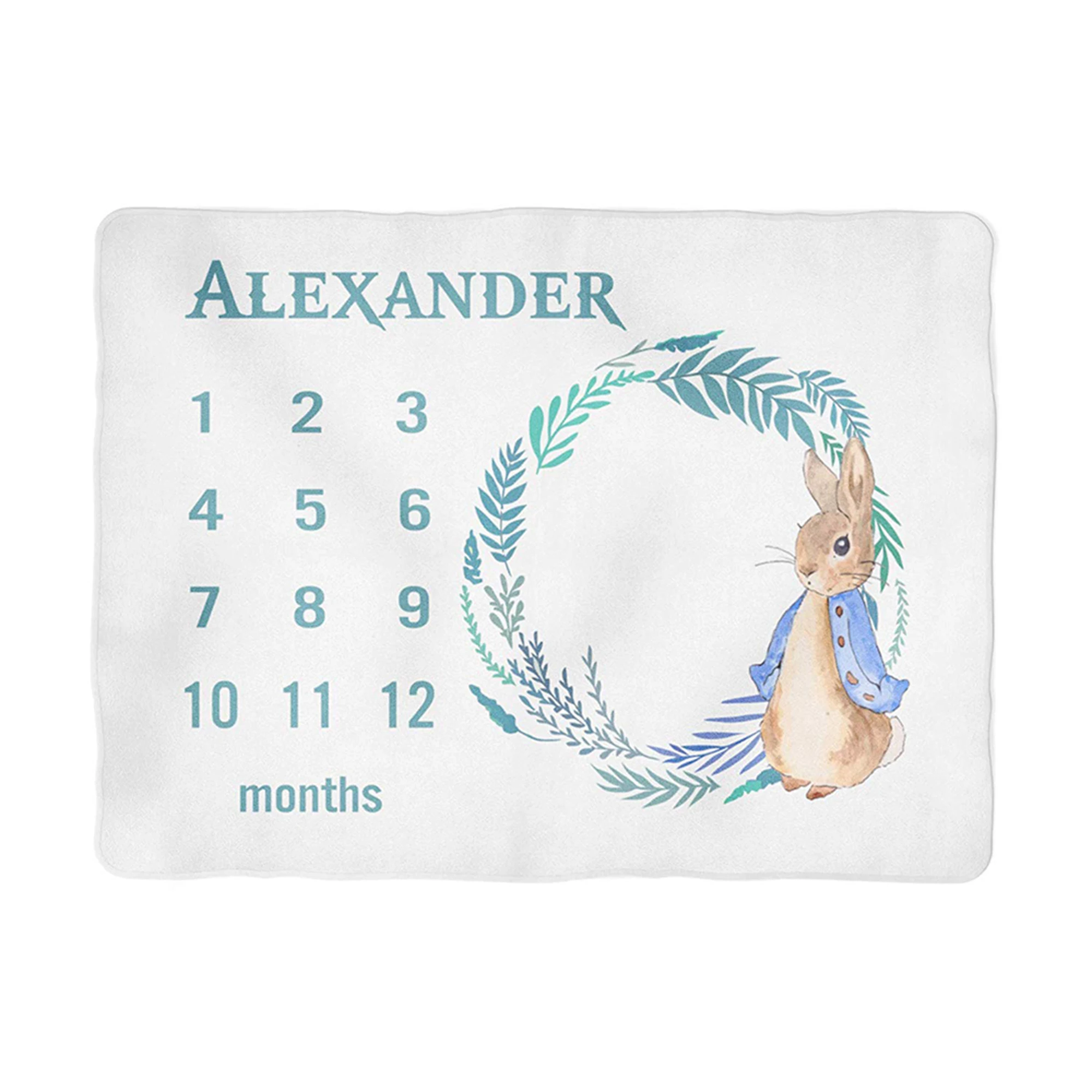 
Kids Babies Age Group 100% Polyester Material Baby Milestone Beagle Blanket Fleece Blanket 