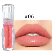 

Hot Selling Waterproof Plumping Private Label Lip Gloss with Glitter