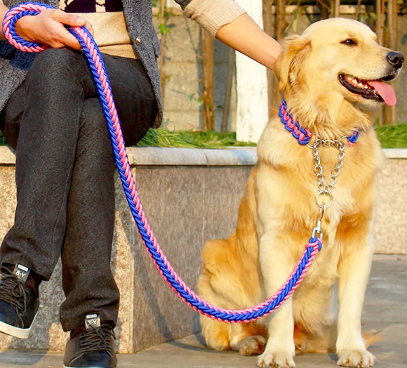 

Factory Wholesale Hot sell Double Color Nylon Rope Heavy Duty Dog Leash Collar Chain Set