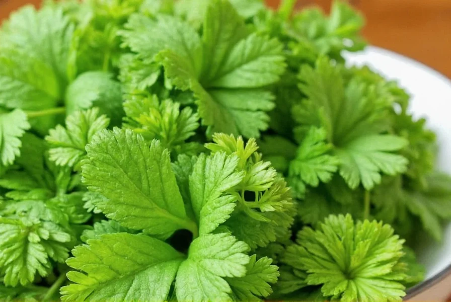 Best Coriander Substitutes: Practical Replacements for Any Recipe