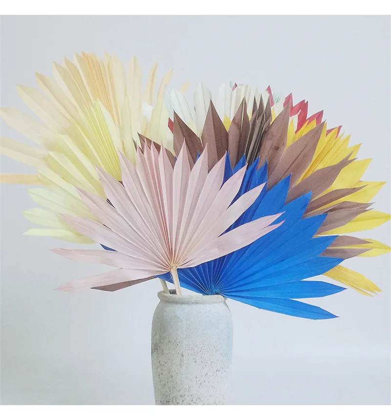 

Wholesale Dried Flower Sun Plam Fan With Multi Sprayed Color Plant Material for Classroom Wall Decoration Administration Office