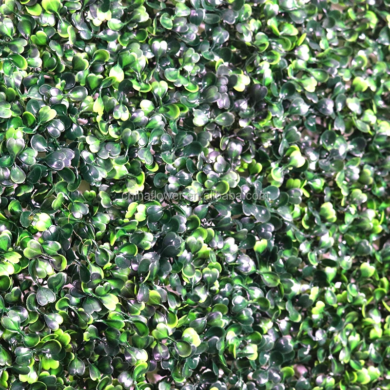 green grass wall   (2).jpg