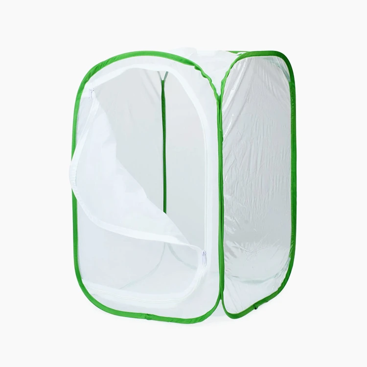 

Insect lore bh butterfly growing Cage Insect Growing kit for kids