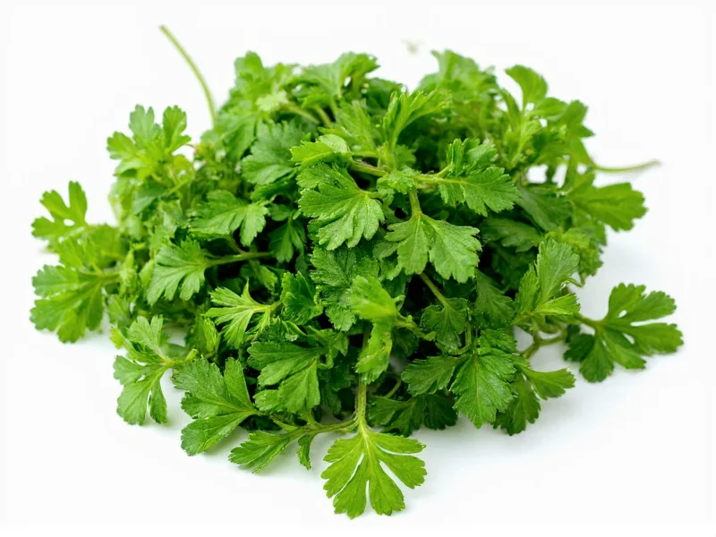 Best Fresh Parsley Substitutes: Practical Cooking Alternatives