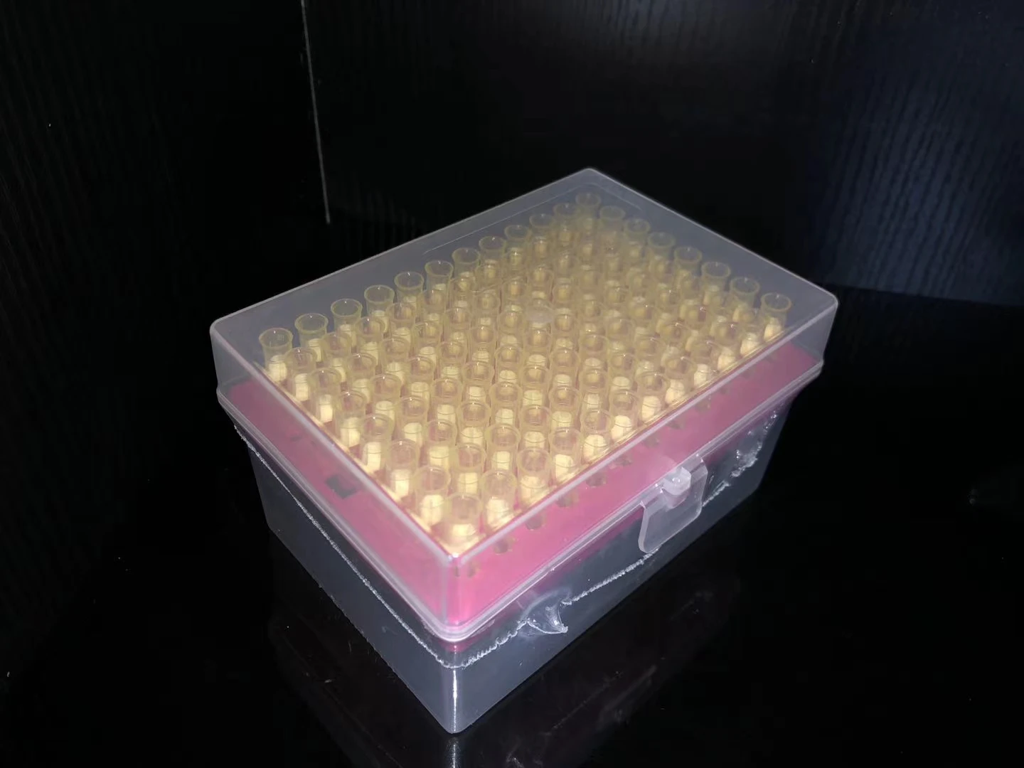 Sterile Filtered Pipette Tips 96 Wells Rack Pipette Tips With Filter