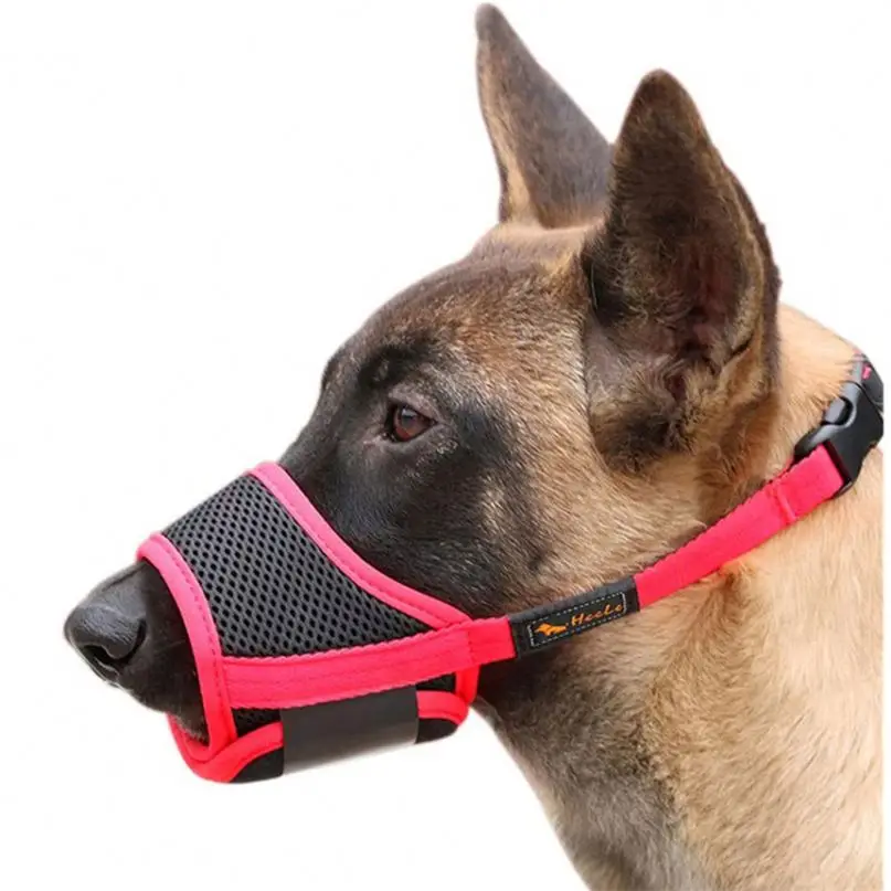 

Quick Release Dog Walking Muzzle