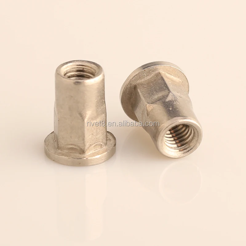 M6 M8 M12 Stainless Steel Flat Head Hexagon Flat Nut Blind Rivet Nut