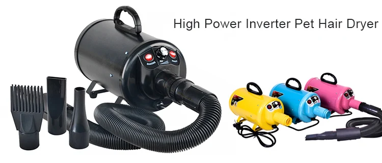 pet dryer dog.jpg