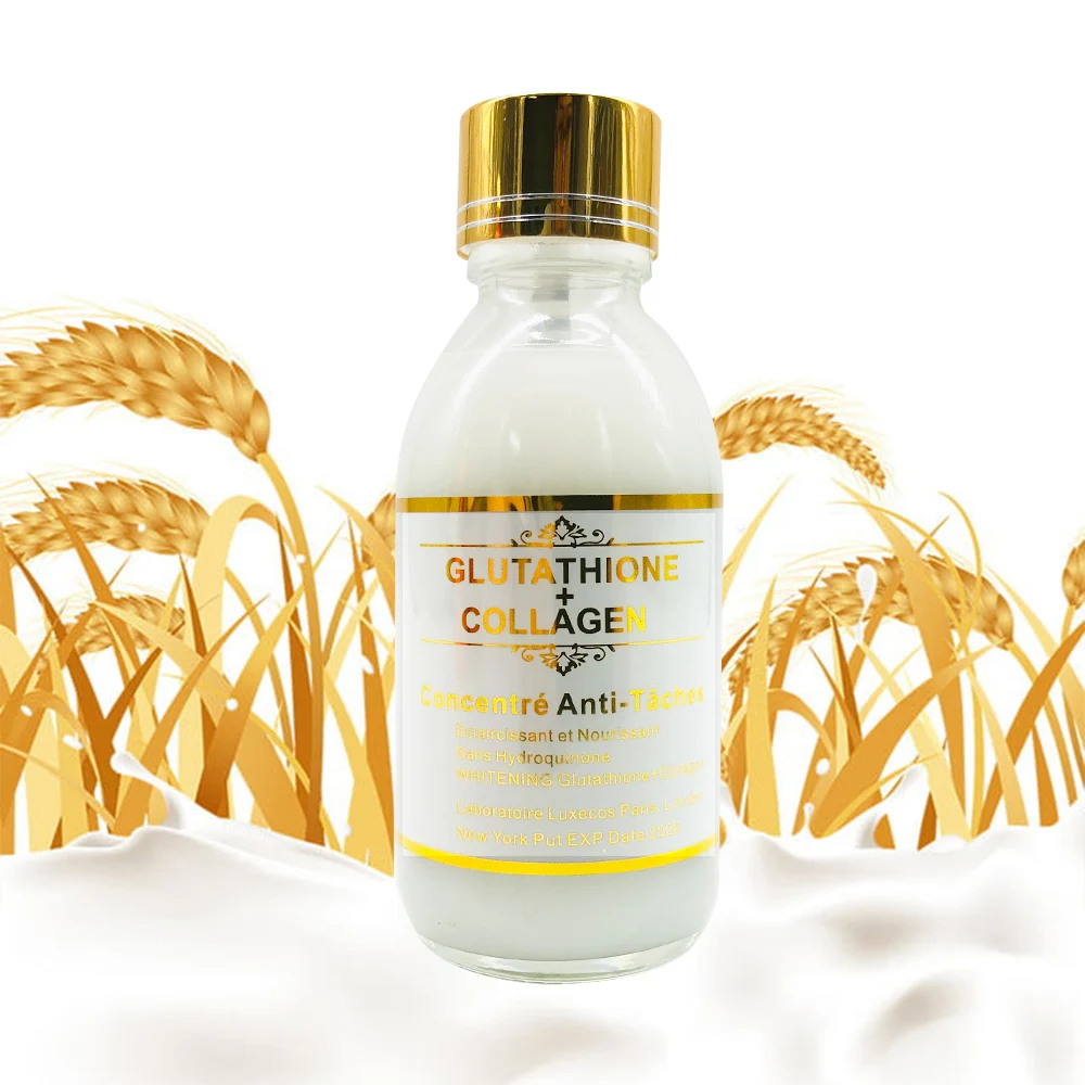 

Gluta Collagen Concentrate Anti-Taches Eclaircissant Nourissant Nourish Whitening Brightening Serum