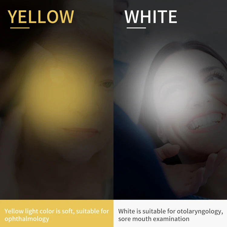 Double led penlight (8)