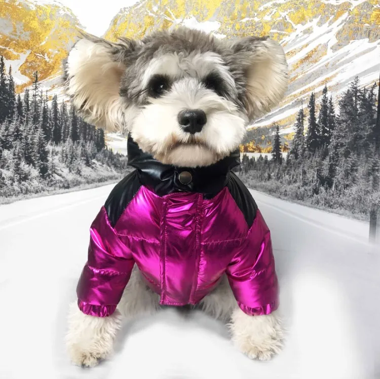 

Modern Dog Down-filled Coat Jacket Clothes Winter Designer Dog Clothes Winter Dog Popular Logo Down Coat with Fluffy, As picture