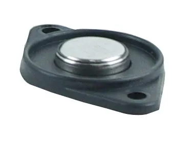 Ibutton tag &holder.jpg