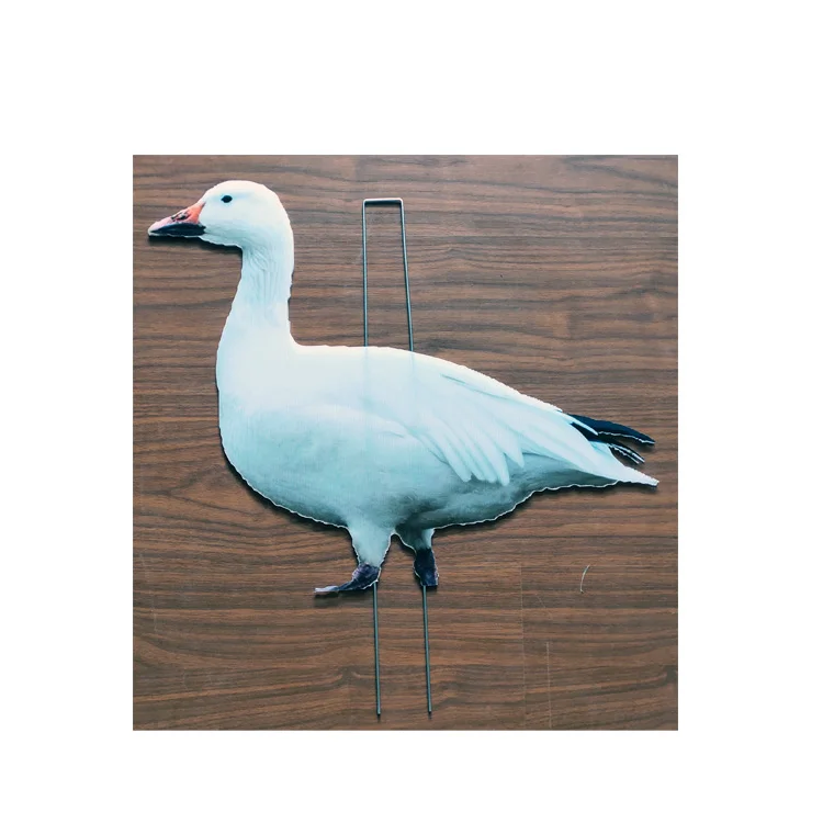 Customizing Coroplast Searcher Posture Snow Goose Decoys Buy Snow 
