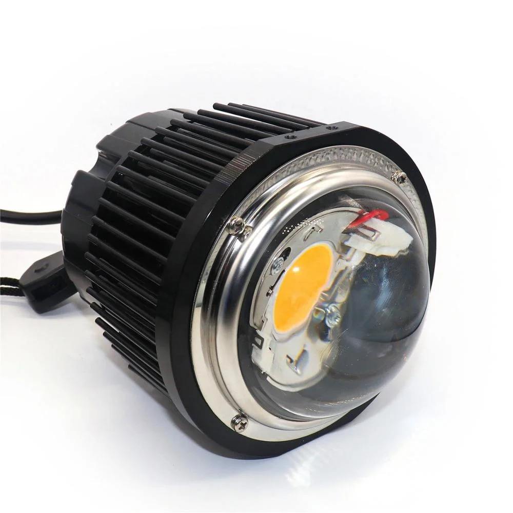 Citizen CLU048 1212 100W High Power Full Spectrum COB LED Grow Lights With CD Pin Heatsink Meanwell Driver