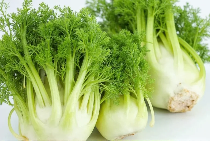 Vergleich essbarer Pflanzenteile bei verschiedenen Kräutern