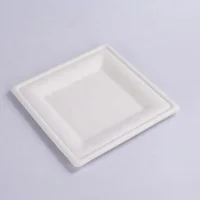 

biodegradable sugarcane bagasse 8" square plate