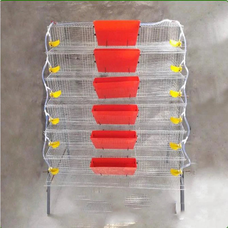 Durable Plastic Quail Bird Feeder Trough Quail Automatic Feeder Buy