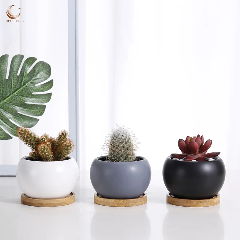 Wholesale indoor garden white small round succulent plant pot ceramic pots for plants