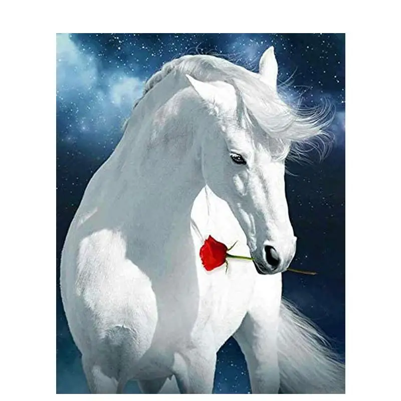 

chenistory full diamond painting DIY white horse hand crve paaft kits 5d crystal diamond painting kit