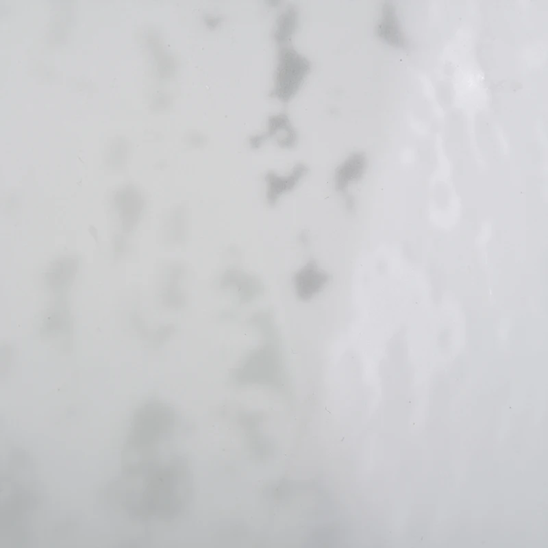 SGLYP19101004_7.JPG