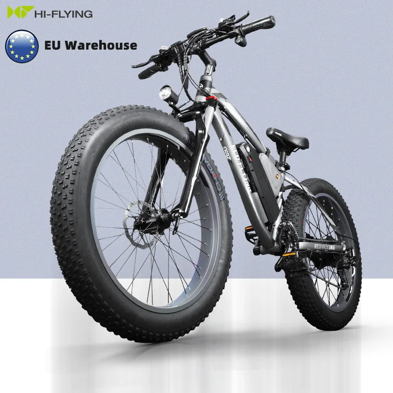 

European Most Popular 48V 1000W 13Ah Fat Tire E-bike 26inch Spoked Wheel Electric Bicycle